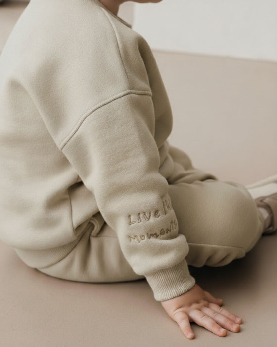 Nakış Detaylı Erkek Bebek Alt Üst Eşofman Takımı (9/12 Ay - 2/3 Yaş)