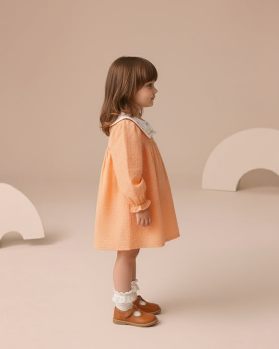 Kız Bebek Nakışlı Bebe Yaka Müslin Çantalı Elbise (6/9-2-3 Yaş)