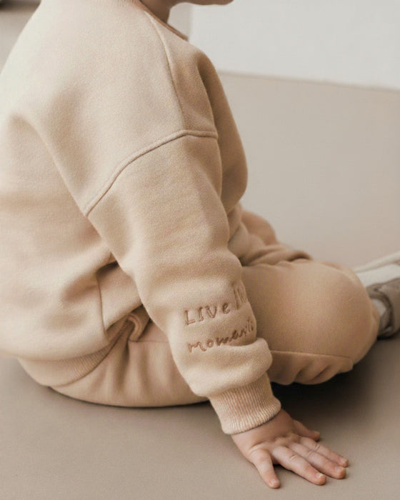 Nakış Detaylı Erkek Bebek Alt Üst Eşofman Takımı (9/12 Ay - 2/3 Yaş)